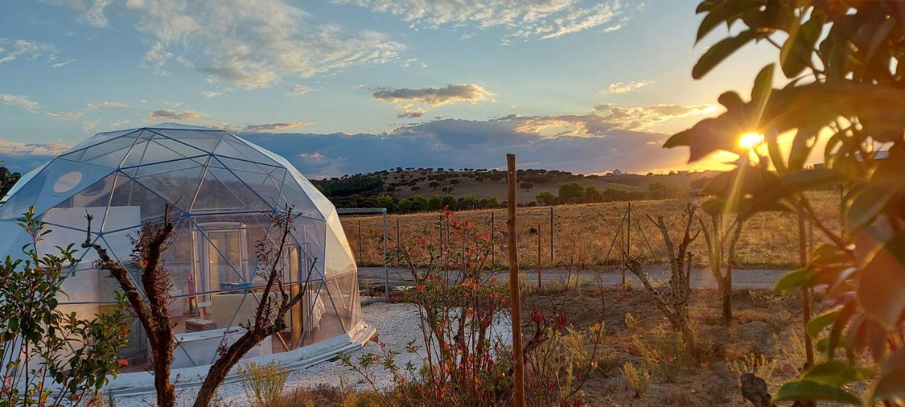 Glamping Skies - Adults Only Estremoz Exteriör bild